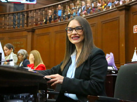 El parlamentarismo debe ser un espacio donde todas las voces sean escuchadas: Nalleli Pedraza