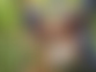 Projeto ambiental elaborado pelo Grupo Escoteiro Igrejinha é contemplado com o valor de R$20.000,00!