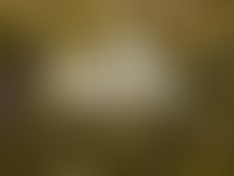 Desafio da Semana do Escotismo