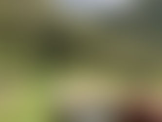 Khushboo's experience at Jabarkhet Nature Reserve