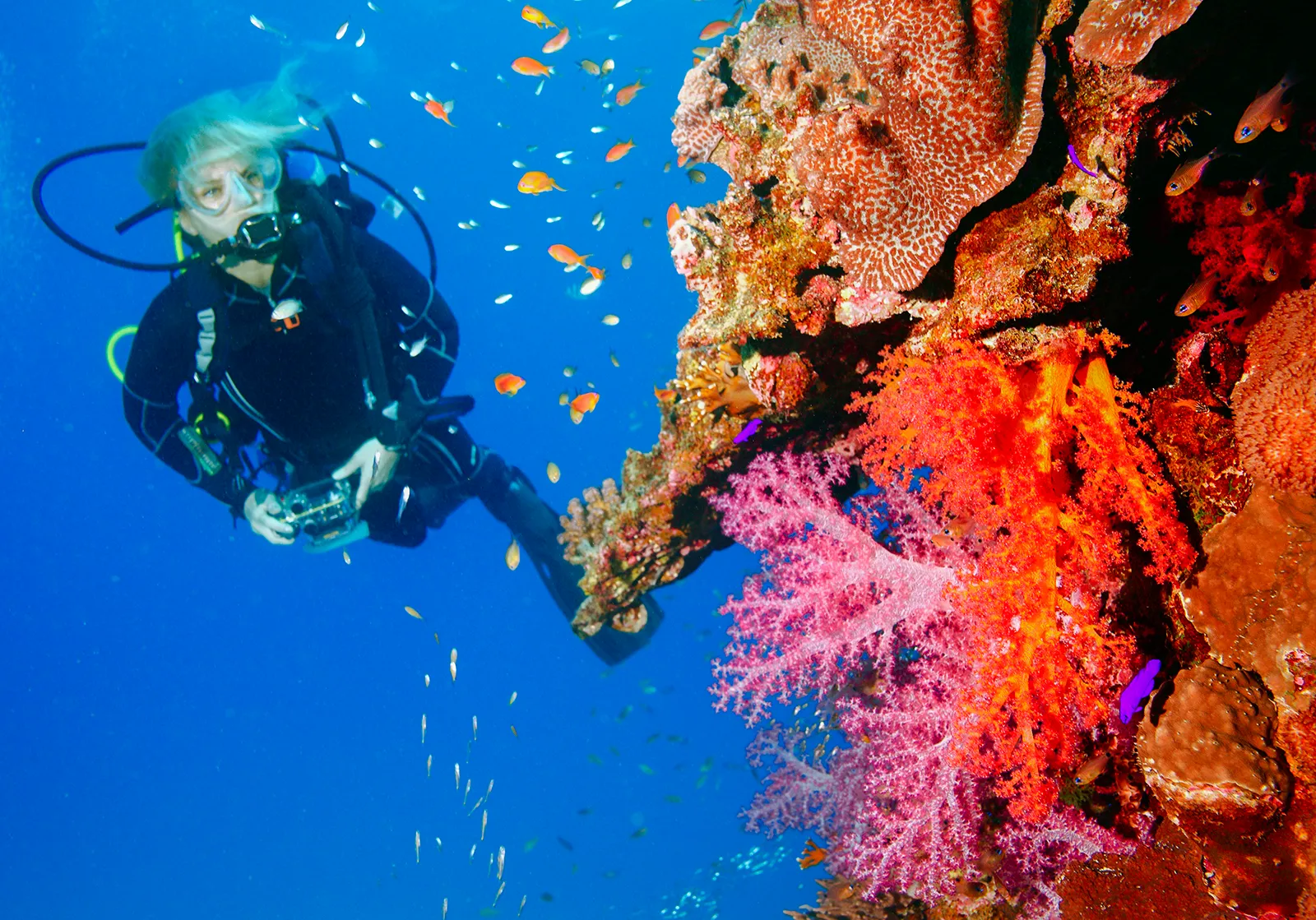 Scuba-diver.webp