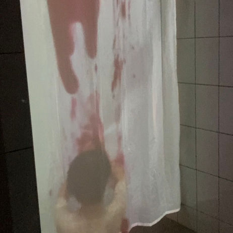 Shower curtain