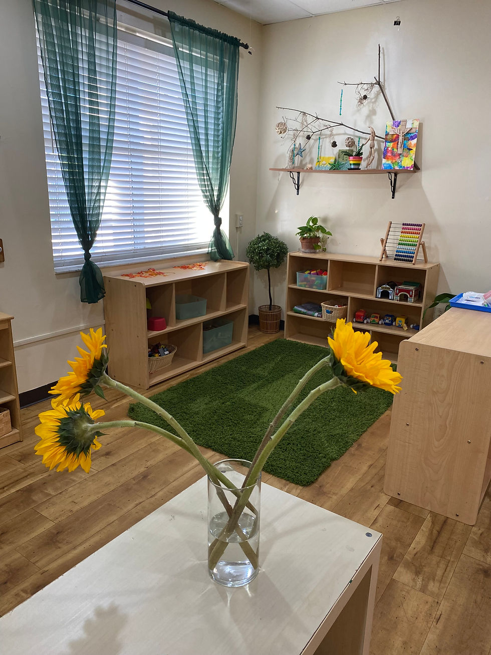 Our Mangrove Toddler Classroom