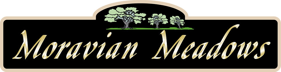 MORAVIAN MEADOWS Majestic Blvd Sign