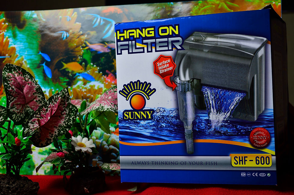 Miniatura: CASCADA SUNNY SHF 600