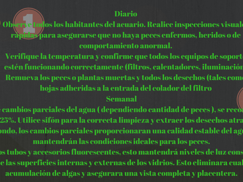 MATENIMIENTO BASICO PARA SU ACUARIO