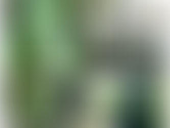 There are so many inspiring objects around us!