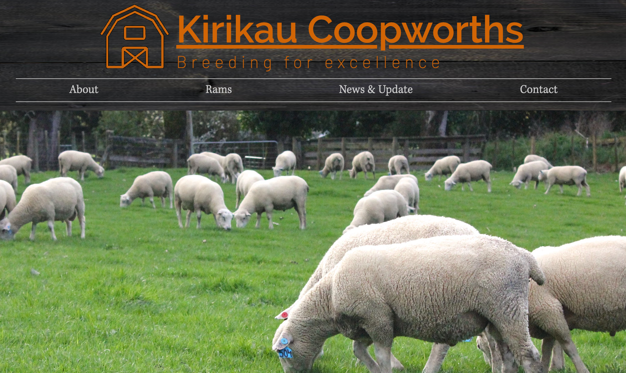Kudos to theMalik Family Farm & Their Coopworth Sheep!!!
