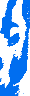 animatie_streep_blauw_v1.gif