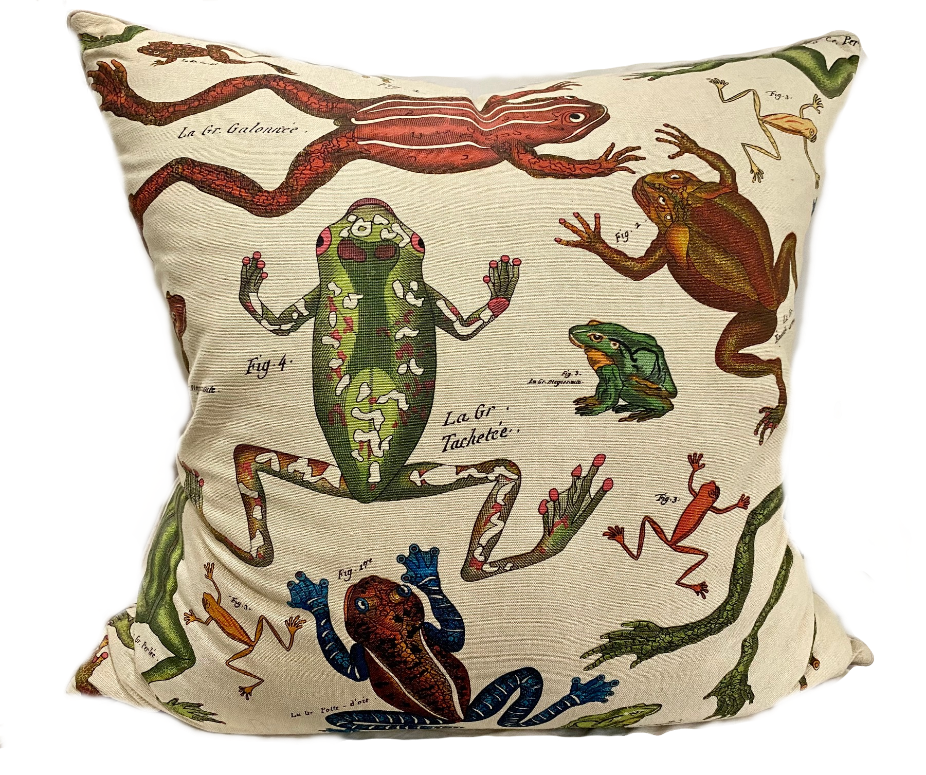 Throw Pillow with Frogs Motif Print with Feather/Down Insert