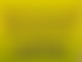 đ February Lotto Winnersđ