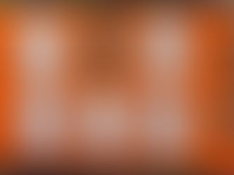 Sligo Abbey Report Writing