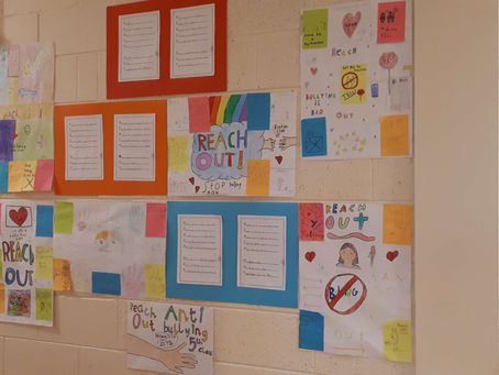 5th class SPHE projects