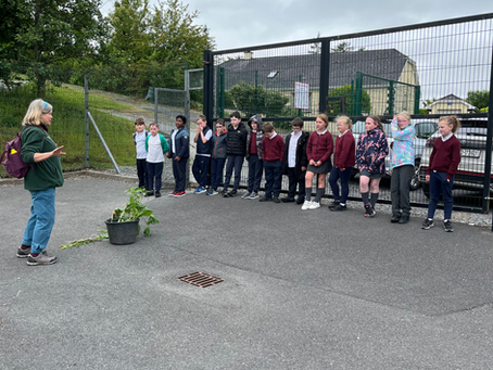 Exploring Bio Diversity and the Trees around our school 🌳