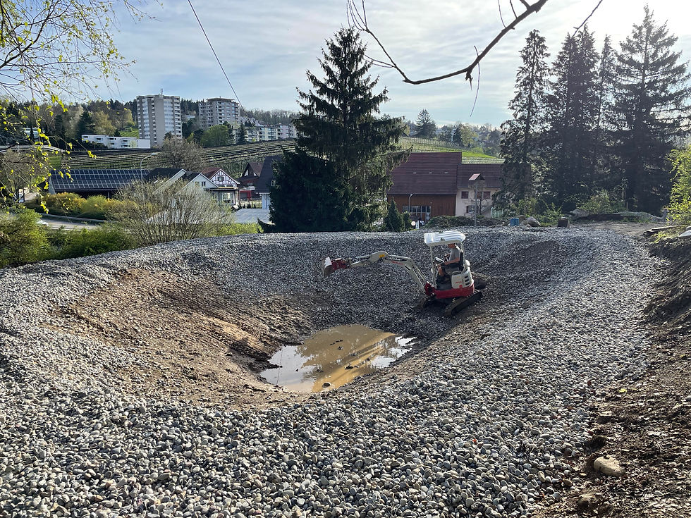 Minikurs: Teichbau ohne Folie