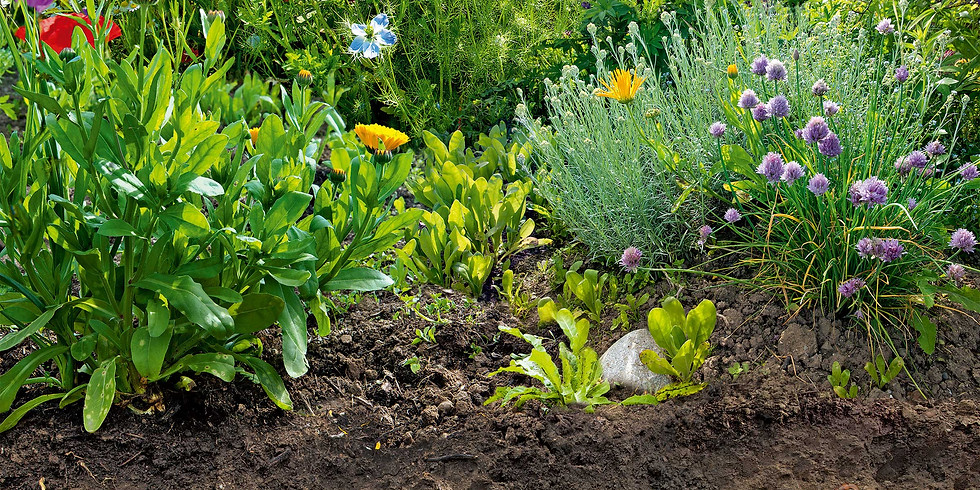 Naturgartentag Boden