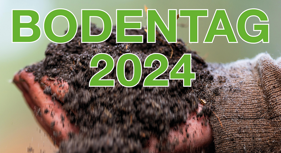 Bodentag 2024 - IG gesunder Boden