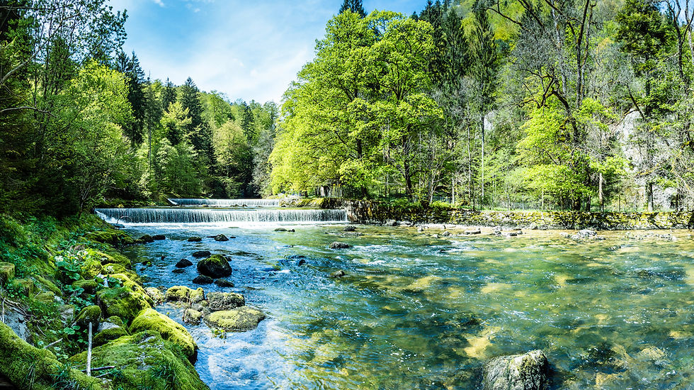 Wasser für morgen - Strategien für eine widerstandsfähige Landwirtschaft