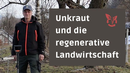 Regenerative Landwirtschaft und das Unkraut