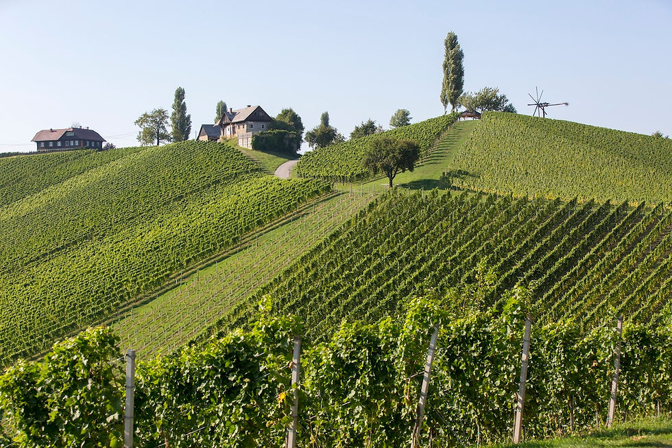 Voranmeldung Basiskurs regenerativer Weinbau 2026