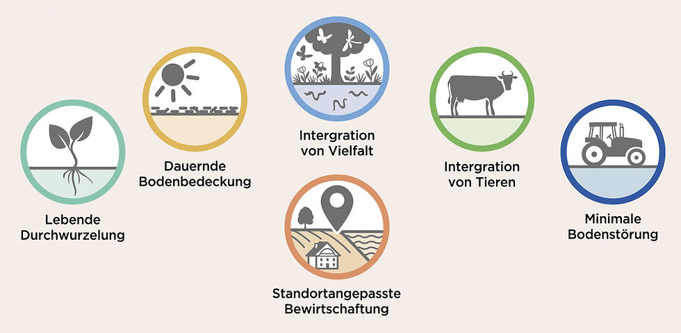Prinzipien regenerative landwirtschaft