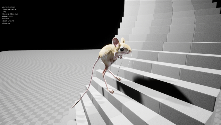 Jerboa
