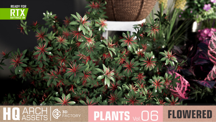 Hình thu nhỏ: (Pre) HQ Plants Vol. 6 ( Flowered Plants )