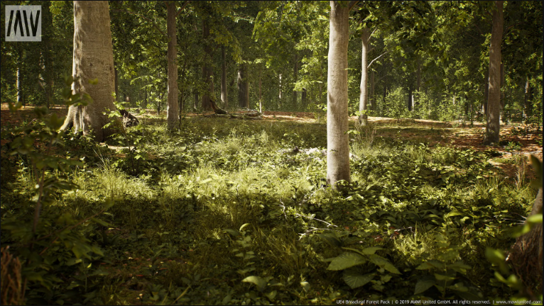(Pre) MW Broadleaf Trees Forest Biome