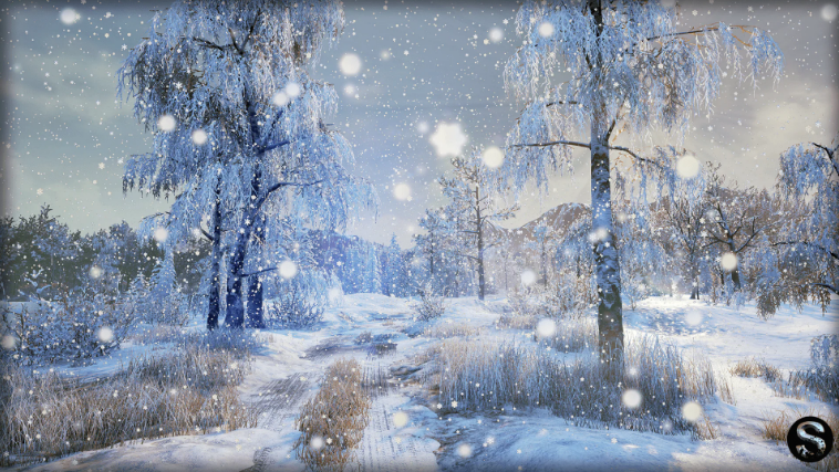 (Pre) Winter Nature