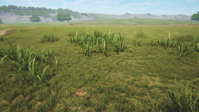 Procedural Growing Plants