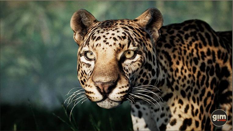 Thumbnail: Animalia - Leopard (pack)