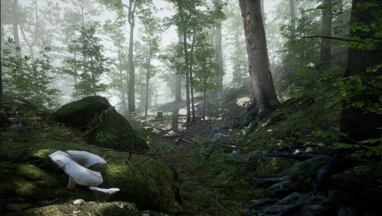 Forest Environment Set