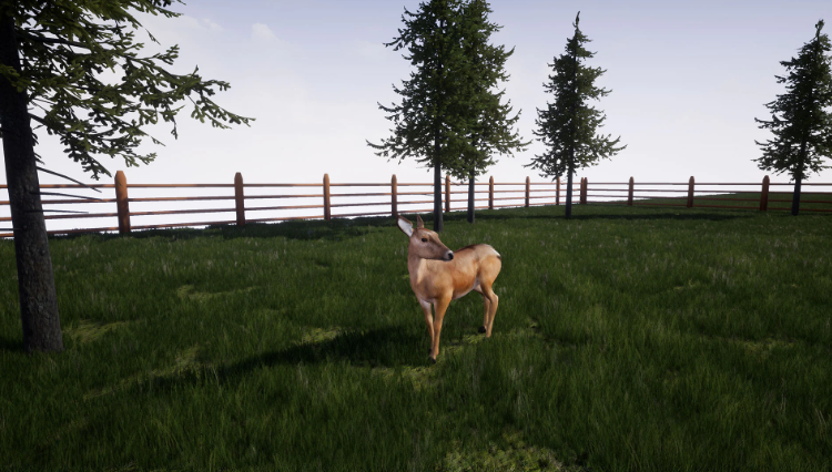 Animal Behavior Kit Pro