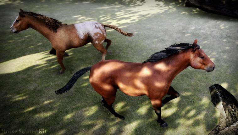 Thumbnail: Horse Starter Kit