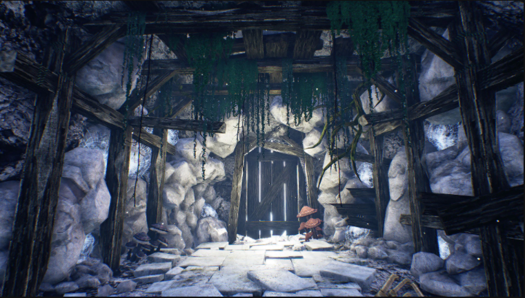 The Caves