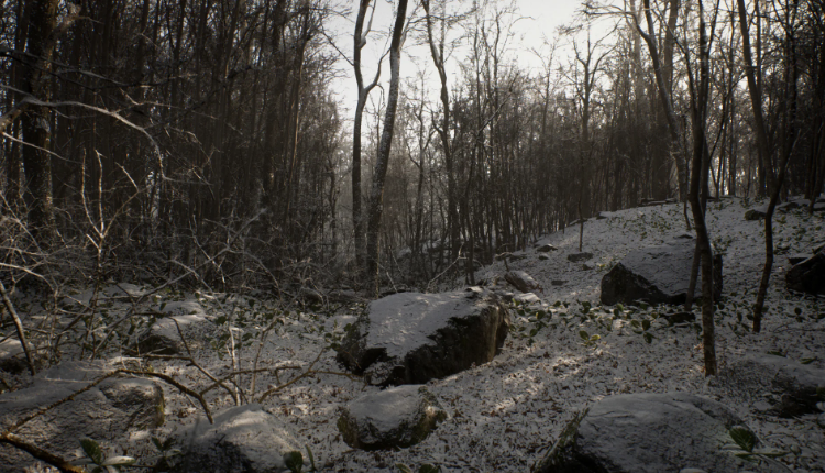 Hình thu nhỏ: (Pre) Procedural Forest
