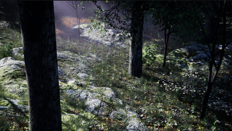 (Pre) Shady Forest