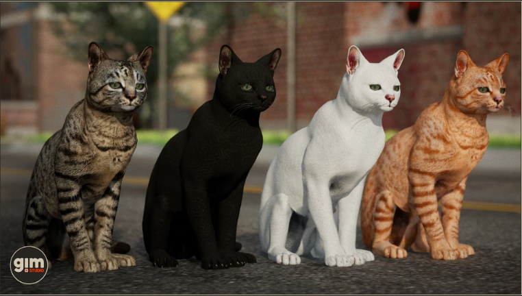 Animalia - Domestic Cat