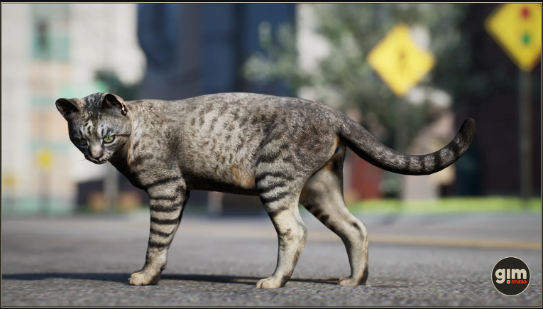 Hình thu nhỏ: Animalia - Domestic Cat