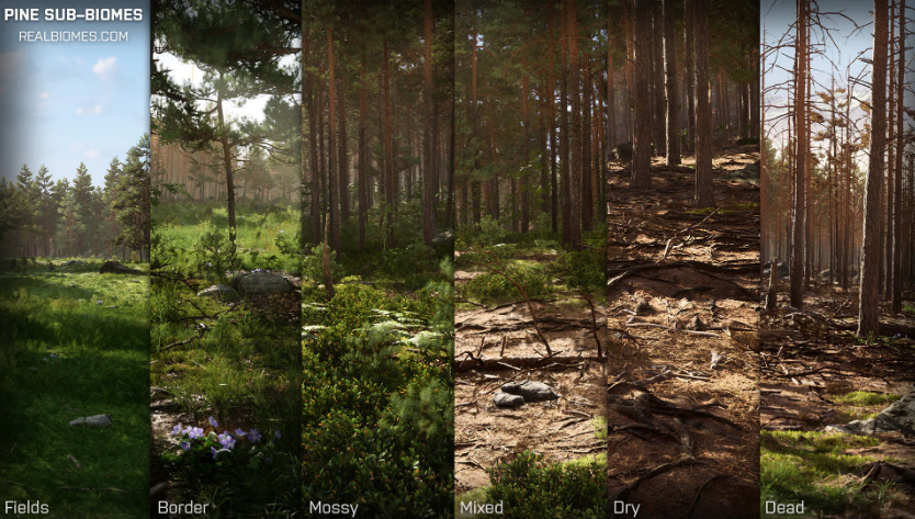 Scots Pine Forest Biome