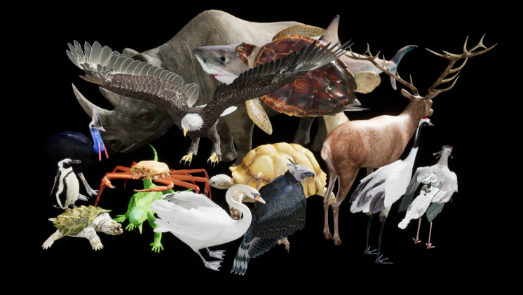 Complete Animals June 29 2022