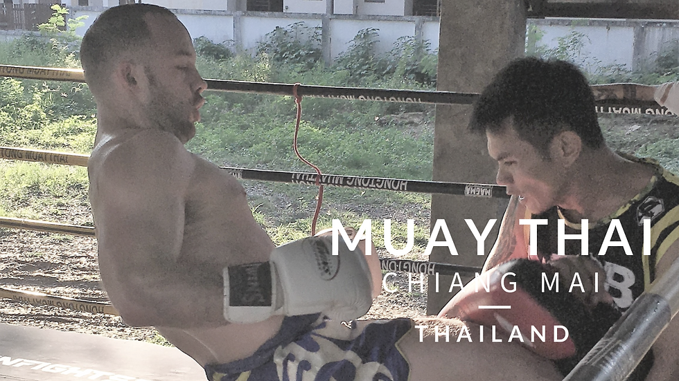 Best Pad Holding in Chiang Mai?