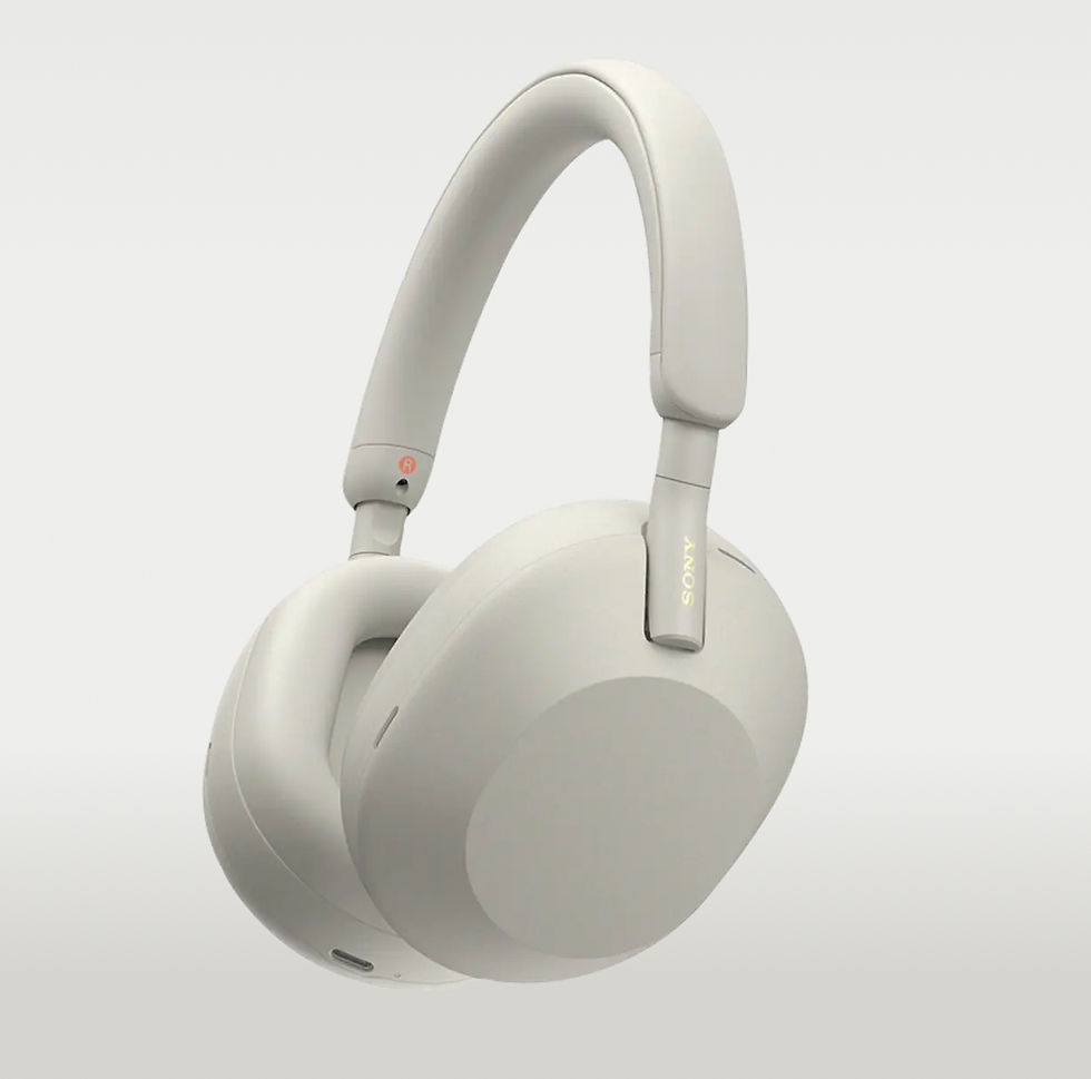 Sony Noise Canellng Earphones