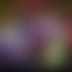 Review: Once Upon a Mattress, a Rollicking Bedtime Story