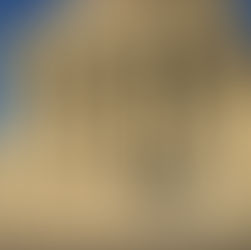 The President & The Supreme Court