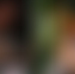 How Indies Came to Rule the Oscars