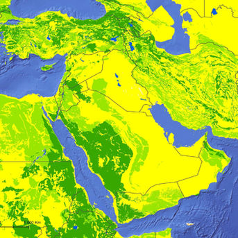 Map of Middle East vegetation