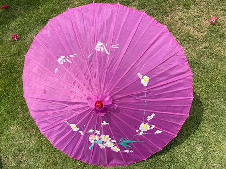 My Kung Fu Is an Umbrella