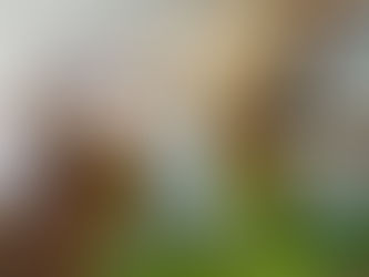 Why Can't We Be Together?