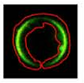 Screenshot 2026-03-02 at 2.13.43 PM.png